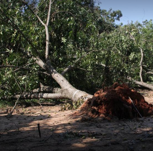 Georgia counties receive disaster declarations due to Irma